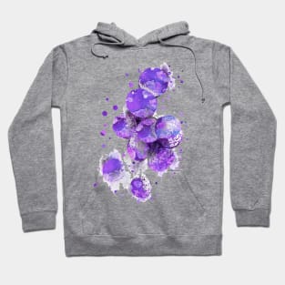 Staphylococcus aureus Hoodie